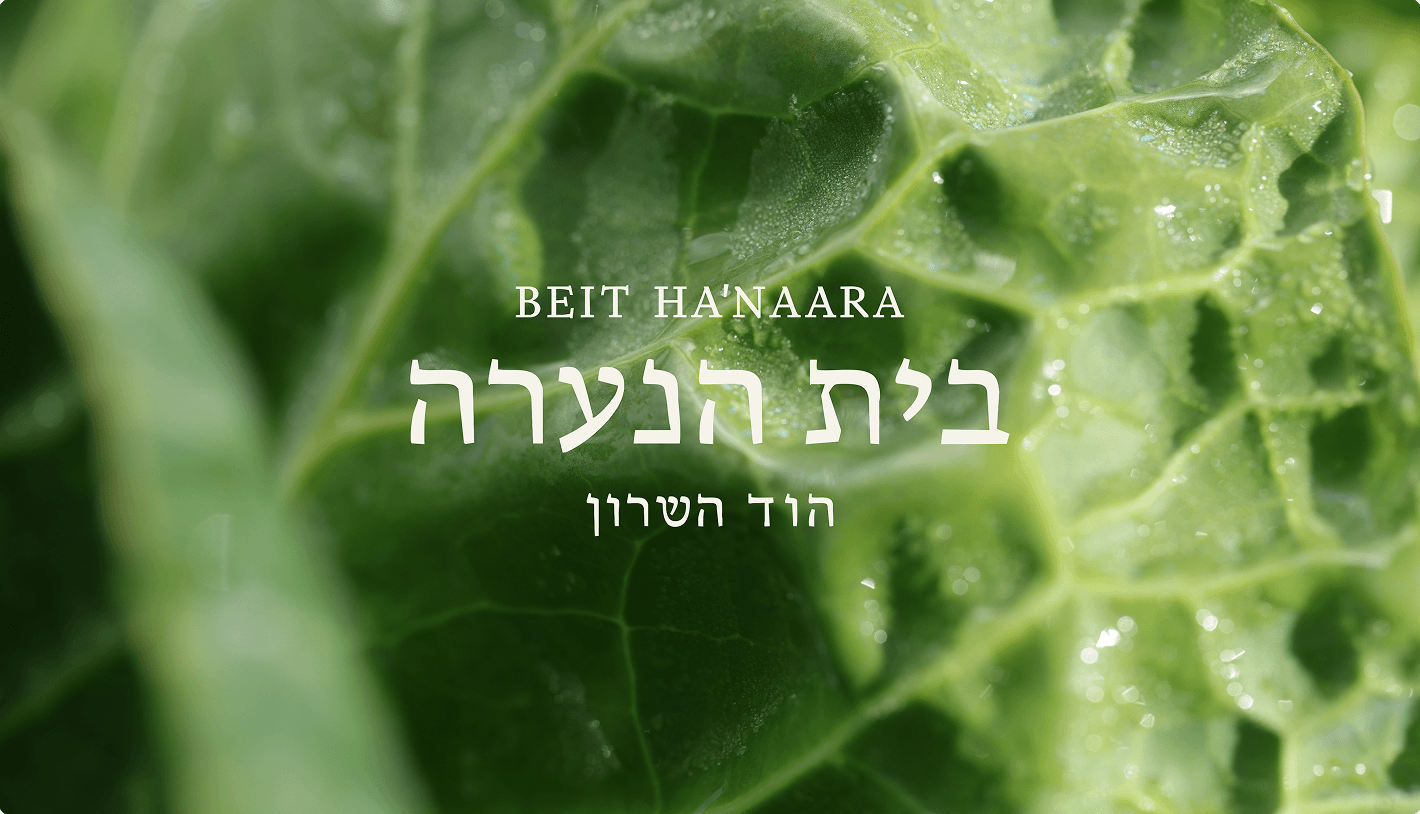 beit hanaara